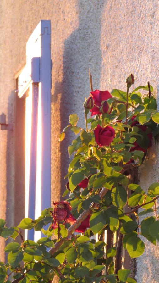 Nature'S Pace Holidays Montmaur  エクステリア 写真